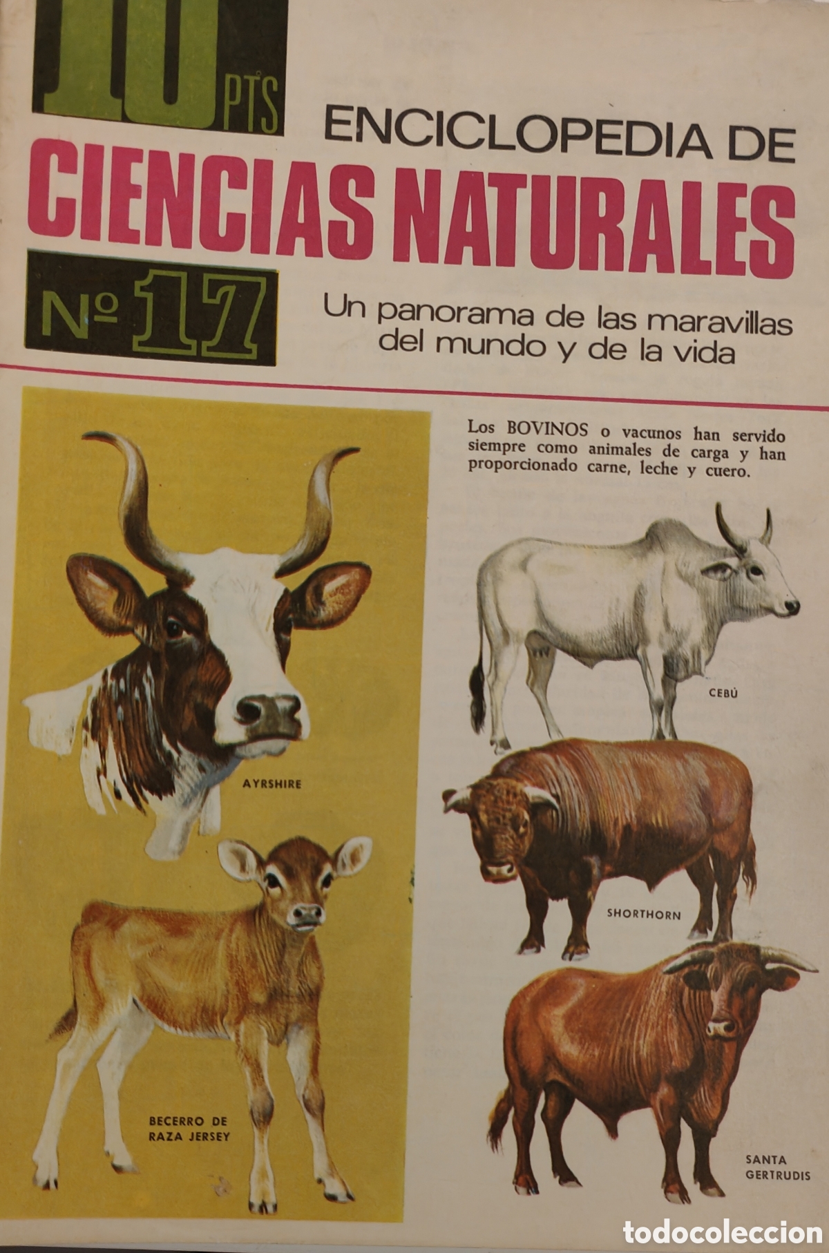 Coleccionismo de revistas y peri&oacute;dicos: :::: JJ02 - FASCICULO ENCICLOPEDIA DE CIENCIAS NATURALES ED. BRUGUERA N&ordm; 17