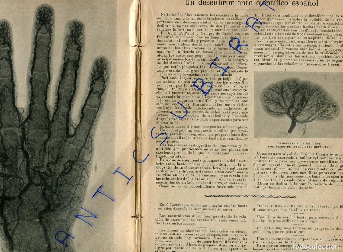 Coleccionismo de Revistas y Peri&oacute;dicos: REVISTA A&Ntilde;O 1899 L' AVI DE BARCELONA ELEFANTE RAMON Y CAJAL RADIOGRAFIA DE LA MANO PUJOL Y CAMPS