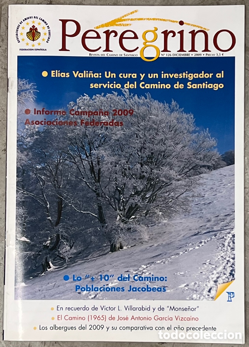Coleccionismo de Revistas y Peri&oacute;dicos: Revista del Camino De Santiago. PEREGRINO. 2009.