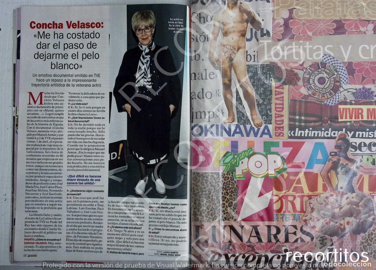 Coleccionismo de revistas y peri&oacute;dicos: CONCHA VELASCO
