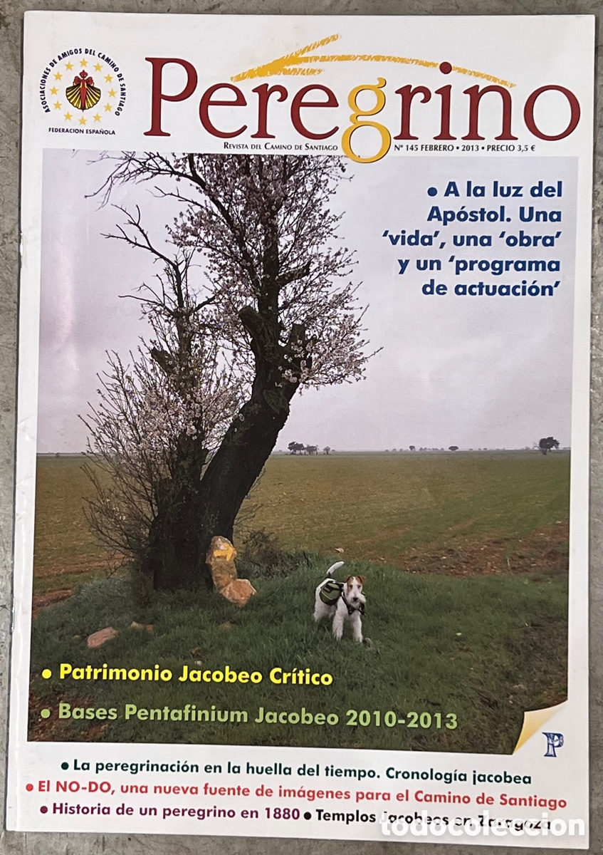 Collectionnisme de Revues et Journaux: Revista del Camino De Santiago. PEREGRINO. 2013.