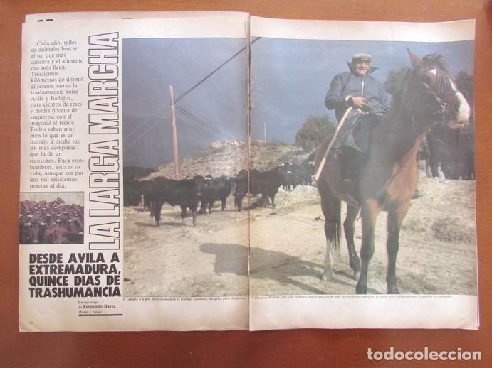 Coleccionismo de Revistas y Peri&oacute;dicos: RECORTE REVISTA DIARIO 16 128 1984 TRASHUMANCIA 6 P&Aacute;GS. PUBLICIDAD PELIKAN ESTUCHE ESCOLAR