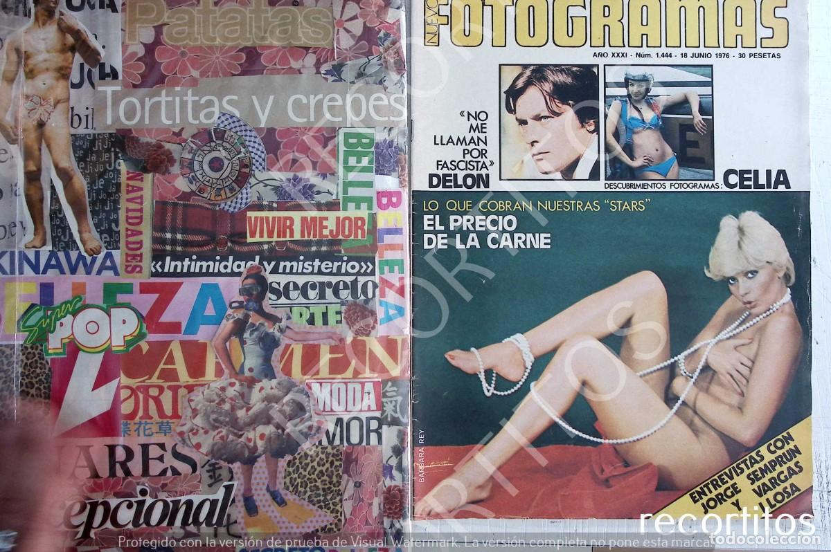 Coleccionismo de revistas y peri&oacute;dicos: recorte portada barbara rey alain delon