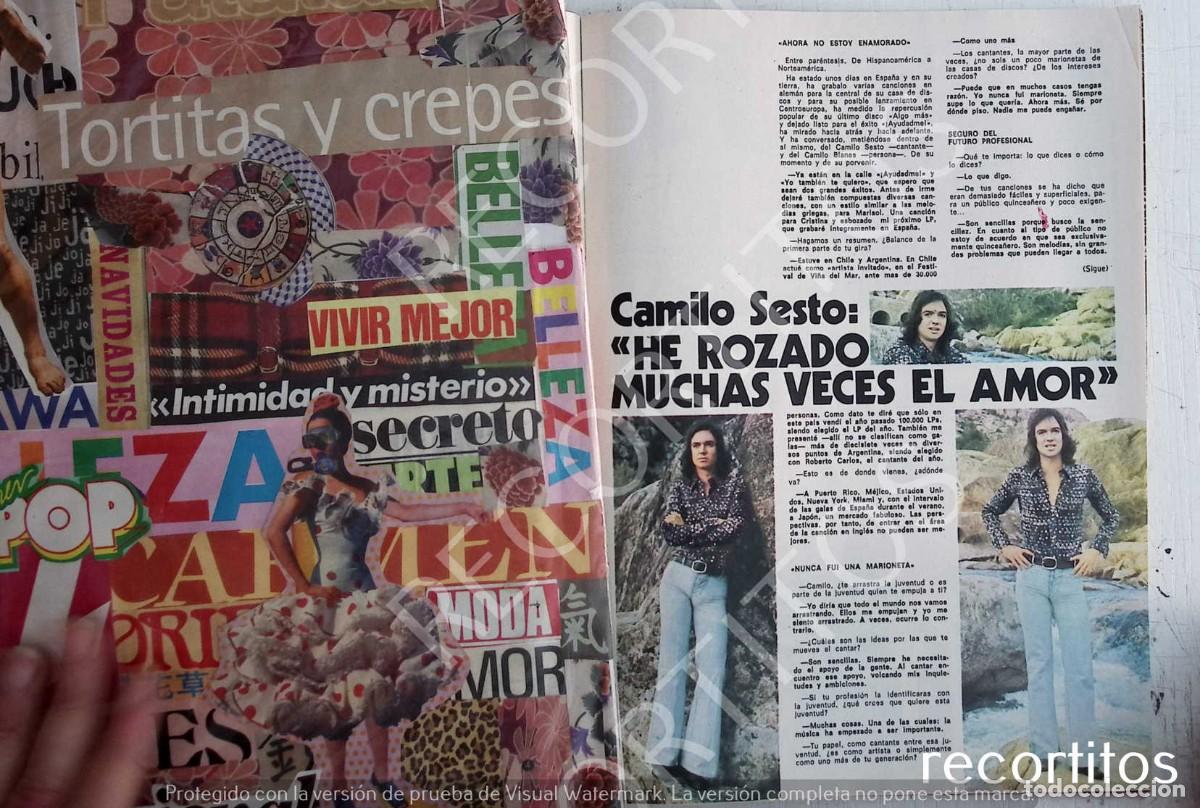 Coleccionismo de Revistas y Peri&oacute;dicos: camilo sesto