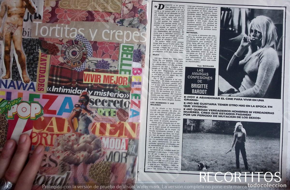 Coleccionismo de Revistas y Peri&oacute;dicos: bb brigitte bardot