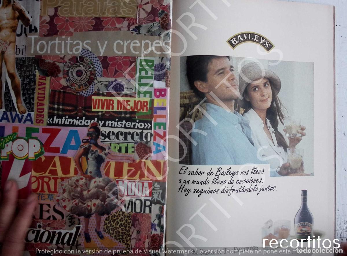 Collezionismo di Riviste e Giornali: BAILEYS ANUNCIO PUBLICIDAD