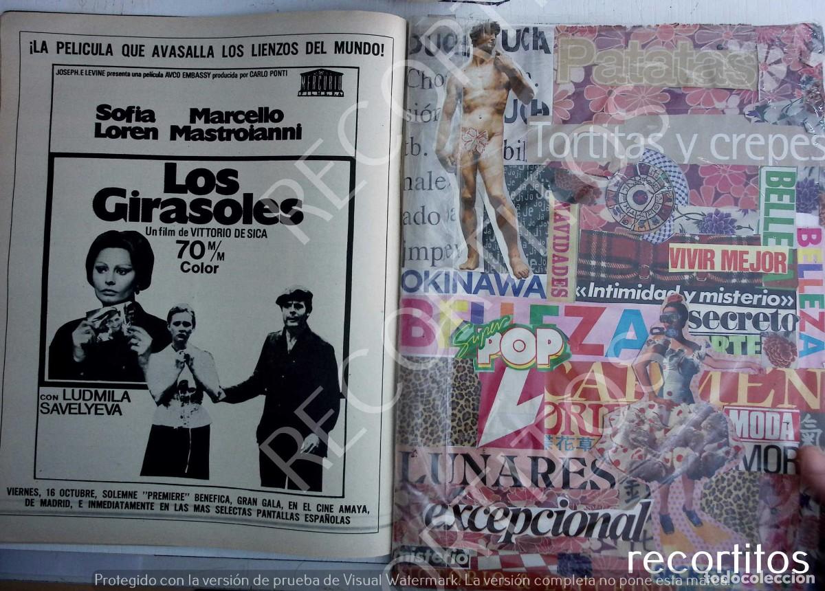 Coleccionismo de Revistas y Peri&oacute;dicos: LOS GIRASOLES SOFIA LOREN MARCELLO MASATROIANNI