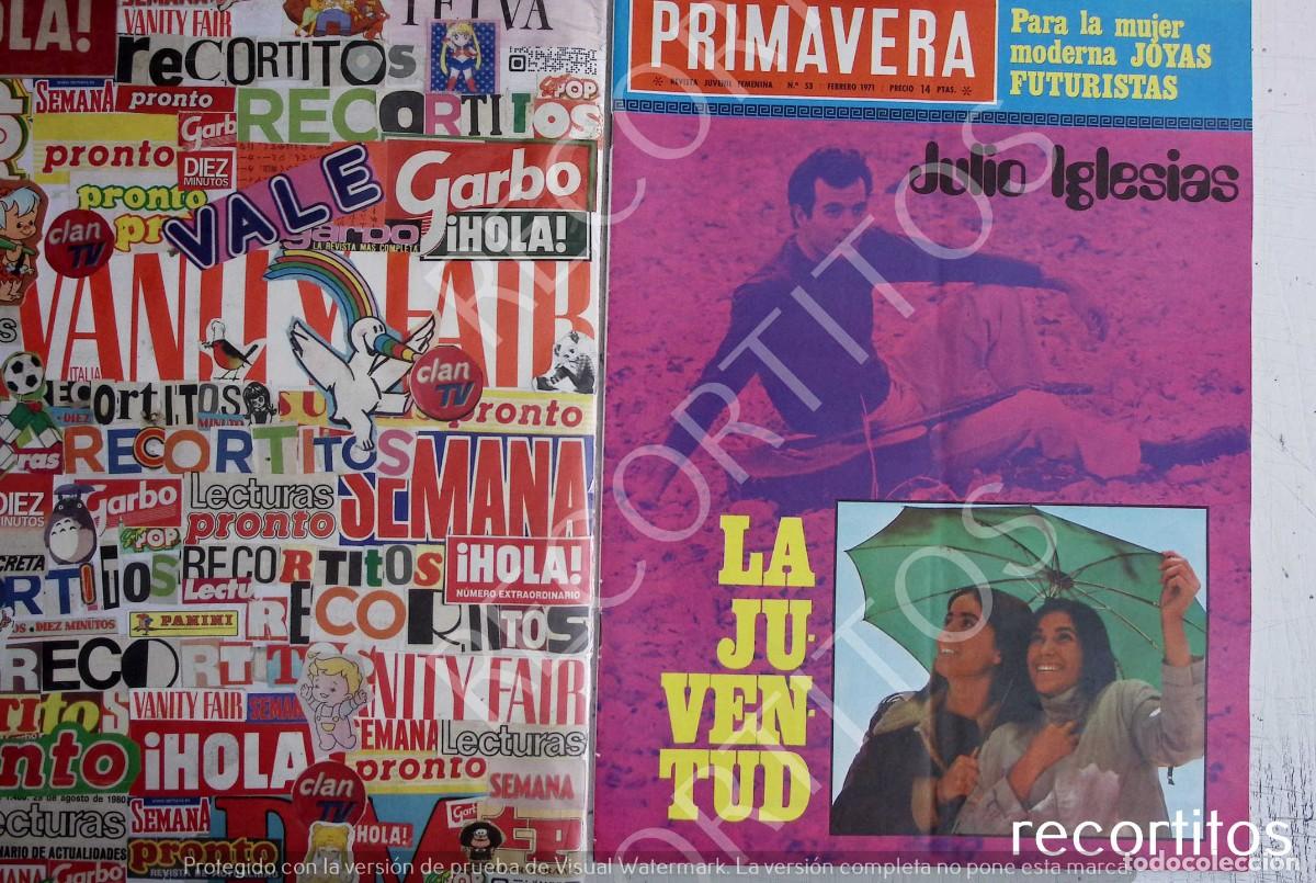 Coleccionismo de Revistas y Peri&oacute;dicos: julio iglesias