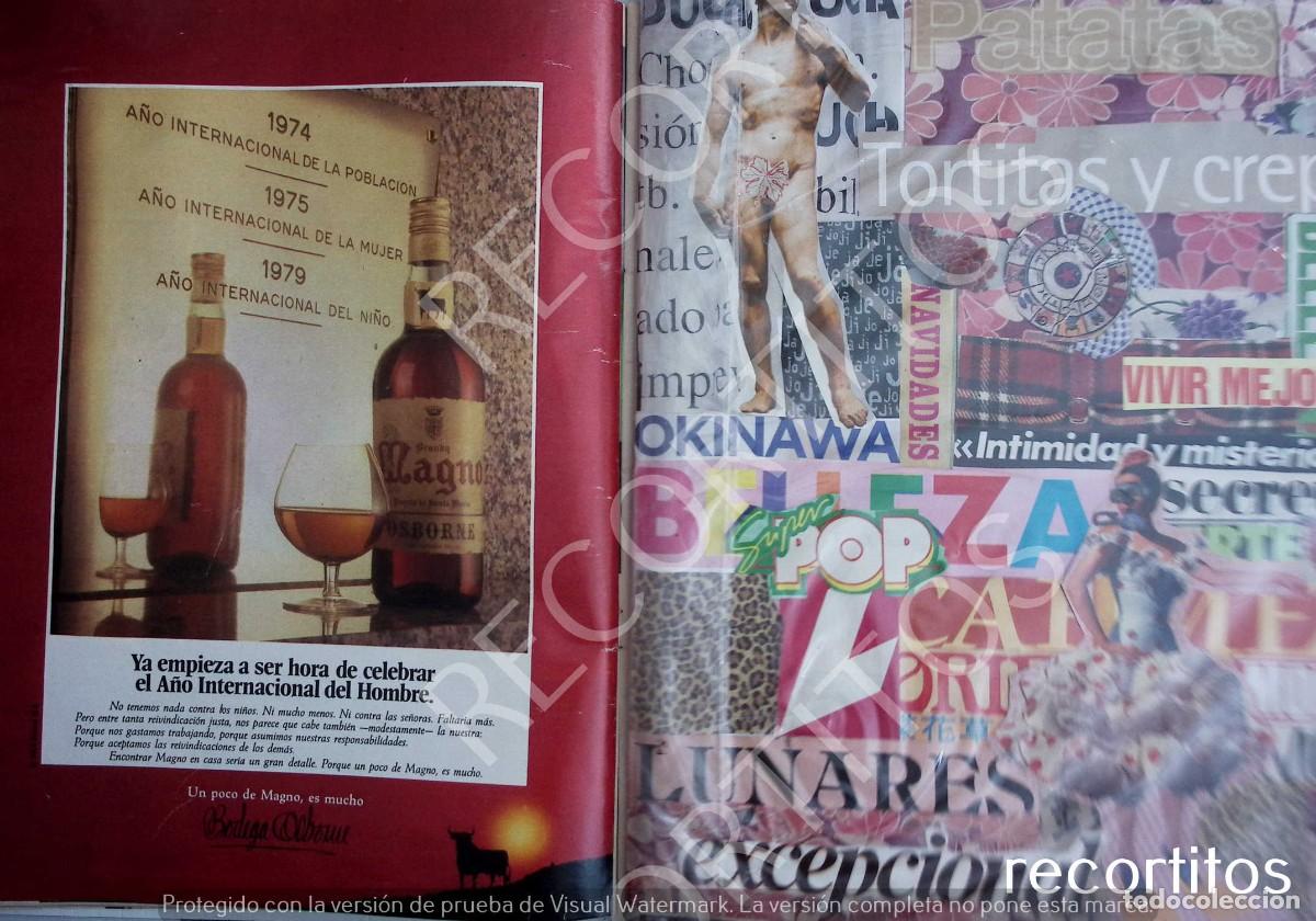 Sammeln von Zeitschriften und Zeitungen: magno brandy ANUNCIO PUBLICIDAD