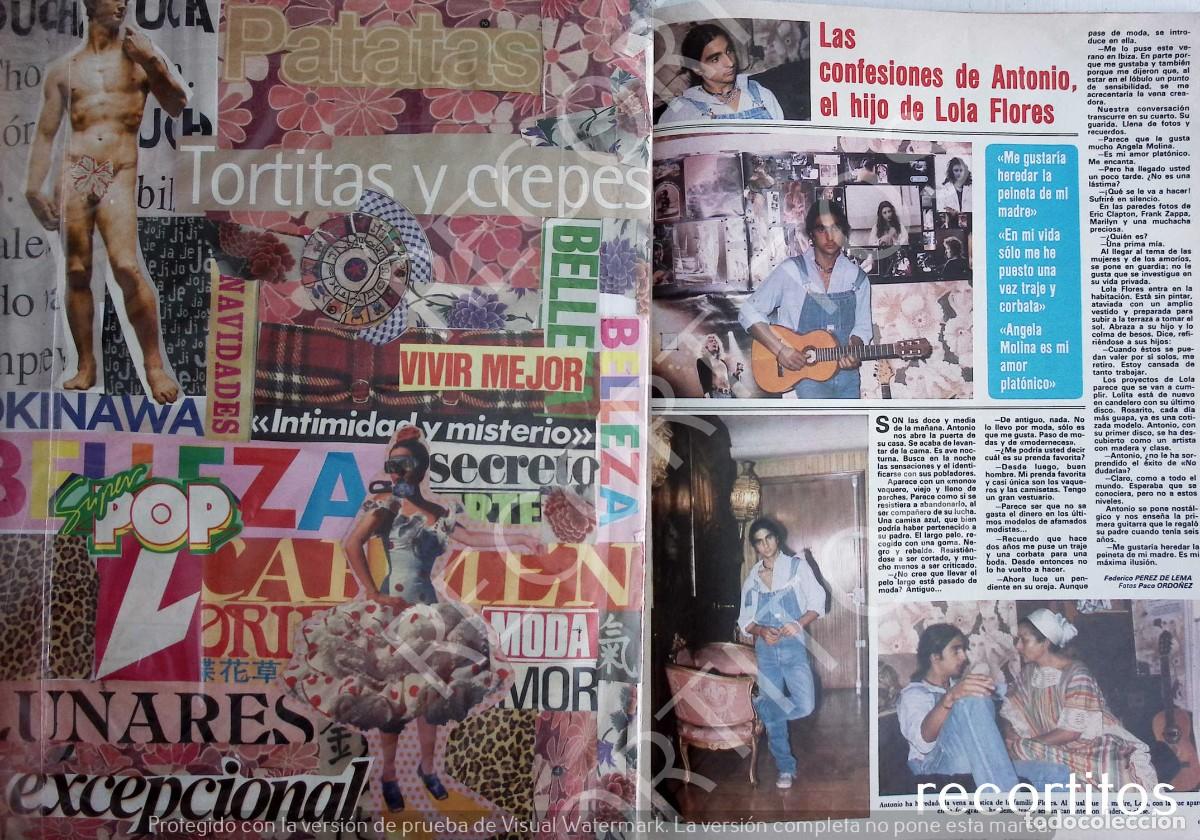 Coleccionismo de Revistas y Peri&oacute;dicos: antonio flores lola