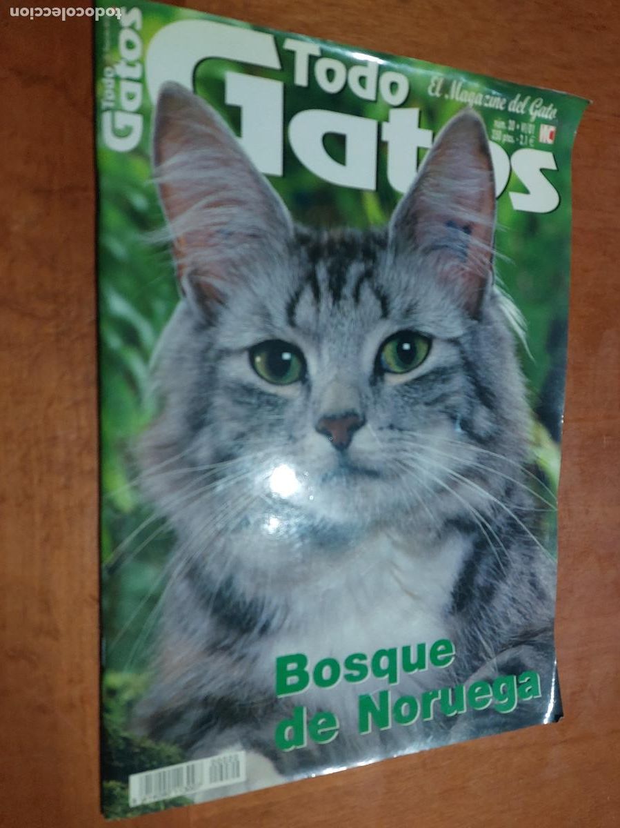 Collezionismo di Riviste e Giornali: TODO GATOS 20. GRAPA. BUEN ESTADO. REVISTA SOBRE GATOS. caj. 129