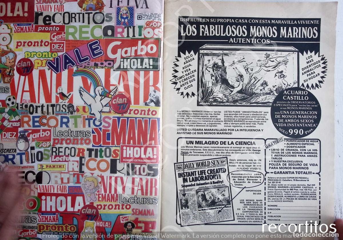 Collectionnisme de Revues et Journaux: monos marinos.