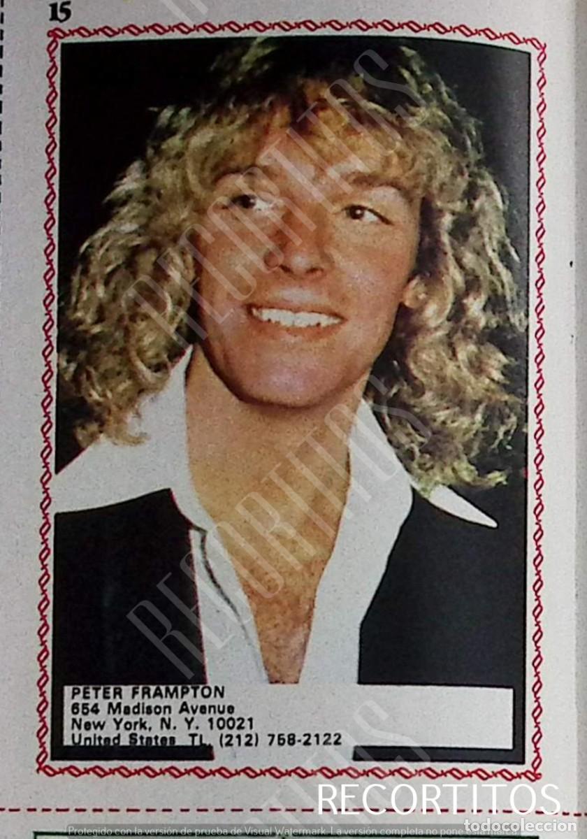 Sammeln von Zeitschriften und Zeitungen: peter frampton