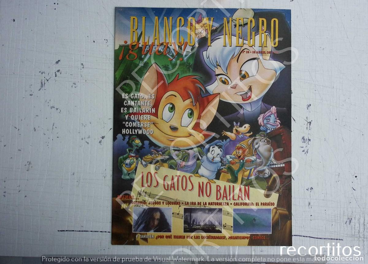 Coleccionismo de Revistas y Peri&oacute;dicos: LOS GATOS NO BAILAN ROSARIO FLORES SAILOR MOON