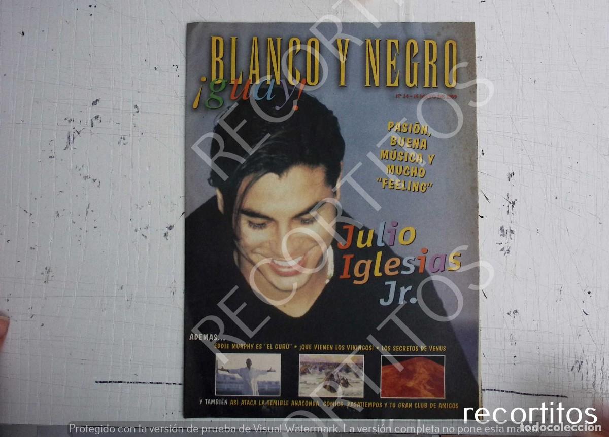 Coleccionismo de Revistas y Peri&oacute;dicos: JULIO JOSE IGLESIAS BARBIE CAMARA VIKINGOS