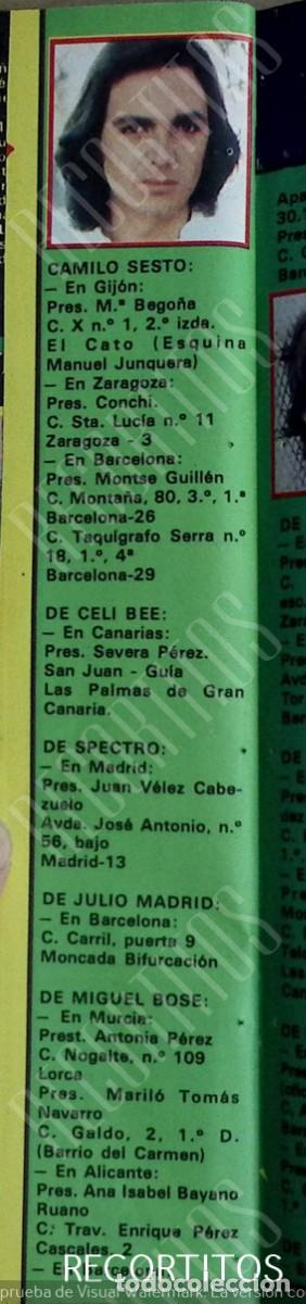 Coleccionismo de Revistas y Peri&oacute;dicos: camilo sesto