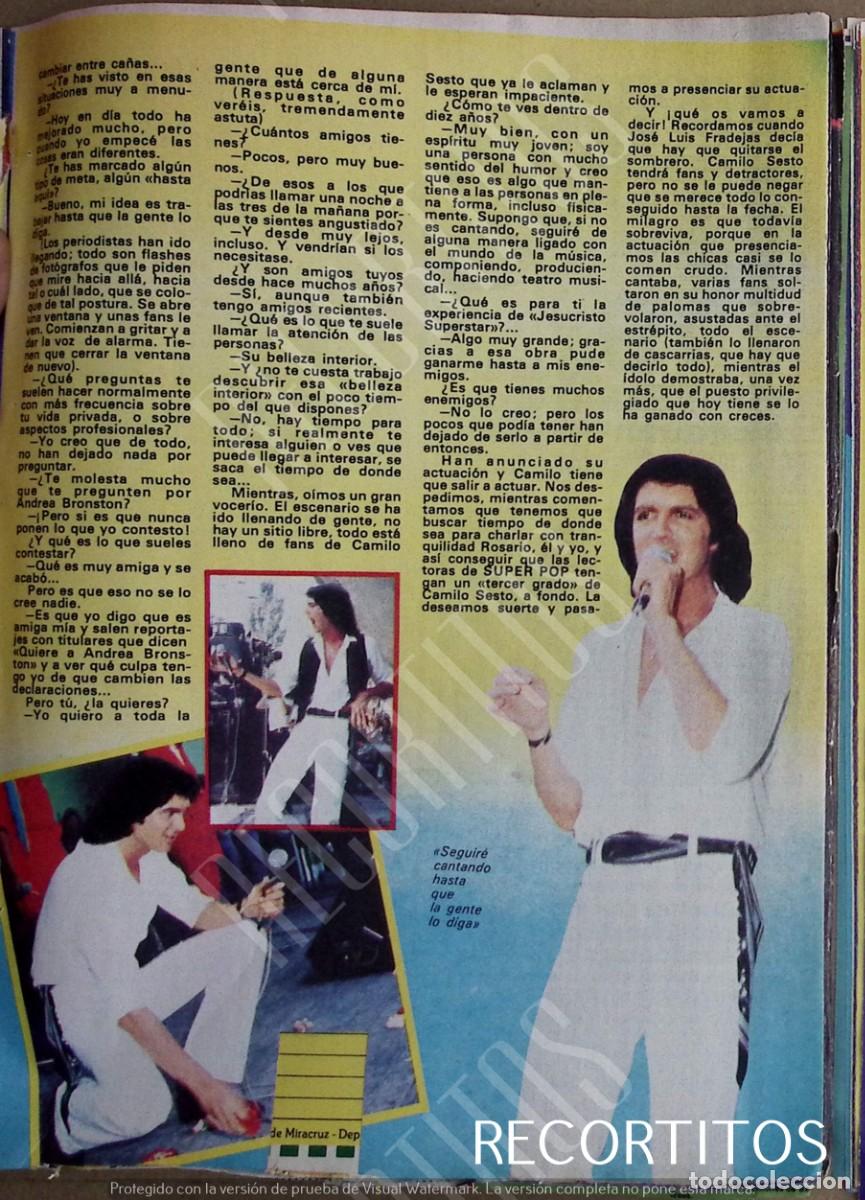 Coleccionismo de Revistas y Peri&oacute;dicos: camilo sesto
