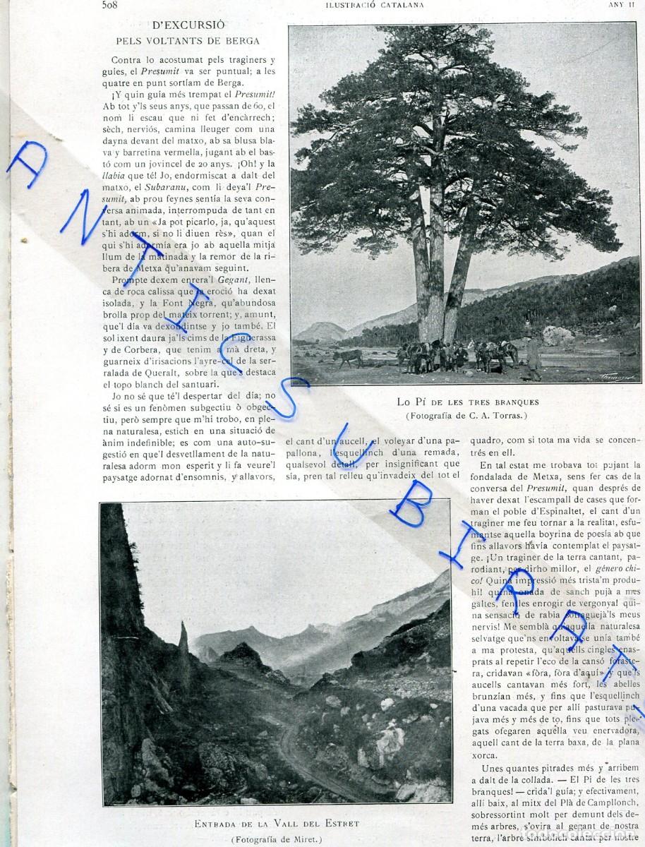 Collezionismo di Riviste e Giornali: REVISTA ANY 1904 FOTOS DEL BERGUEDA PI DE LES TRES BRANQUES CORBERA FONT DE TAGAST FOTOGRAF MIRET