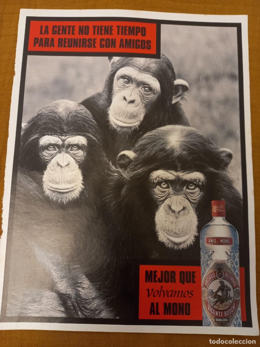 Coleccionismo de Revistas y Peri&oacute;dicos: PUBLICIDAD ANUNCIO AN&Iacute;S DEL MONO EXTRA&Iacute;DO REVISTA 300x220MM.