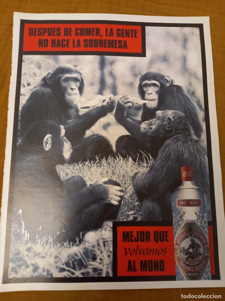 Coleccionismo de Revistas y Peri&oacute;dicos: PUBLICIDAD ANUNCIO AN&Iacute;S DEL MONO EXTRA&Iacute;DO REVISTA 300x220MM.