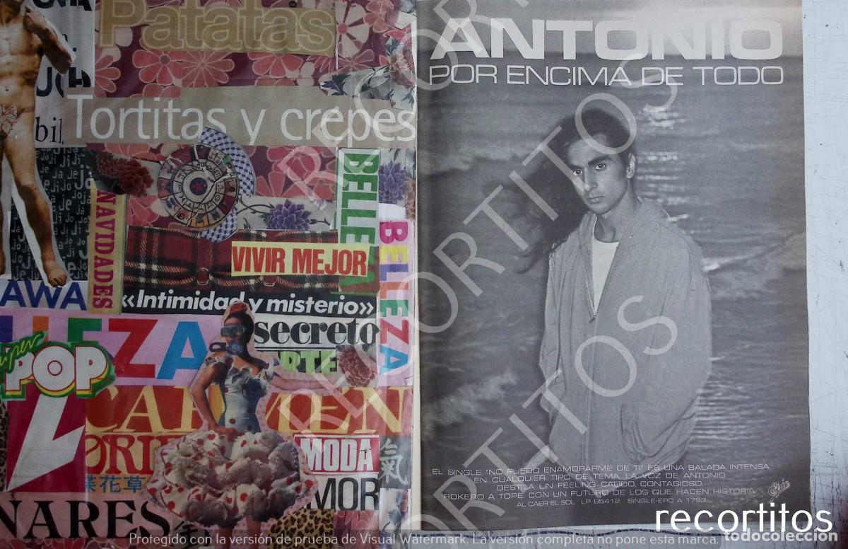 Coleccionismo de Revistas y Peri&oacute;dicos: ANTONIO FLORES