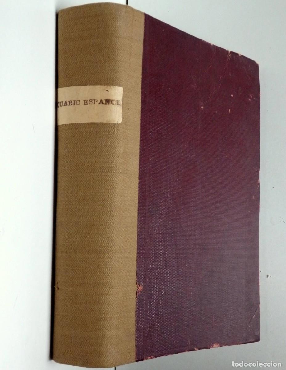 Coleccionismo de Revistas y Peri&oacute;dicos: El Pecuario Espa&ntilde;ol. Revista t&eacute;cnica