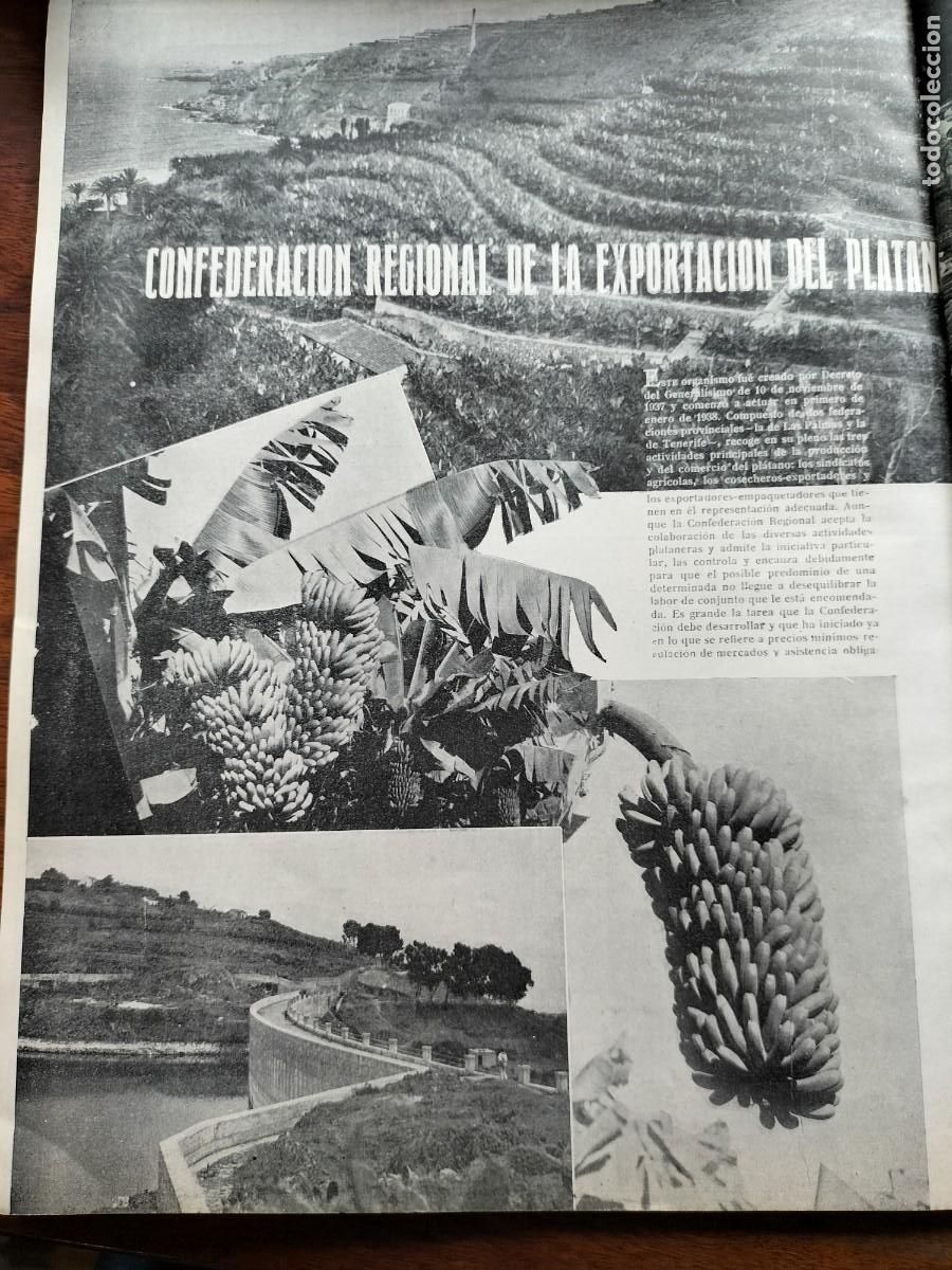 Collection Magazines and Newspapers: CONFEDERACION REGIONAL DE LA EXPORTACION PLATANO SANTA CRUZ TENERIFE CANARIAS HOJA REVISTA A&Ntilde;O 1938