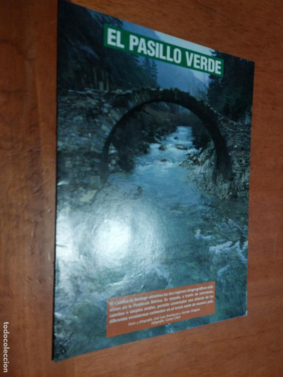 Collezionismo di Riviste e Giornali: EL PASILLO VERDE. CAMINO DE SANTIAGO. SUPLEMENTO GRAPA. 12 P&Aacute;GINAS. BUEN ESTADO.