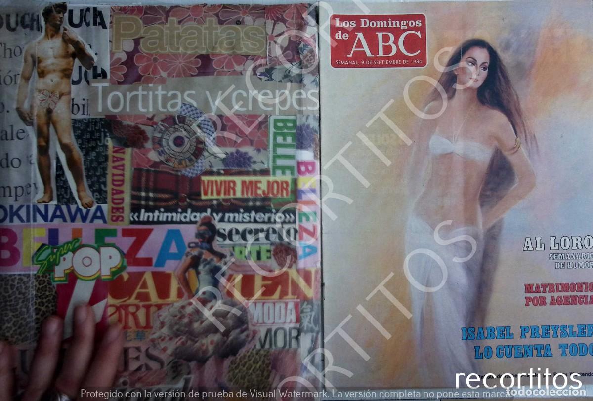 Coleccionismo de Revistas y Peri&oacute;dicos: REVISTA LOS DOMINGOS DE ABC ISABEL PREYSLER