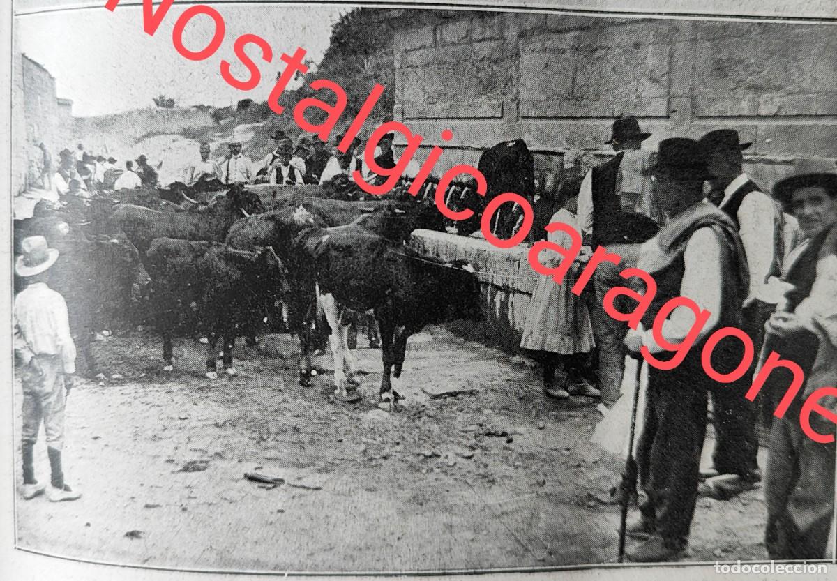 Collezionismo di Riviste e Giornali: Valencia feria ganado Jativa fuente 25 ca&ntilde;os foto revista principio siglo XX 191Q