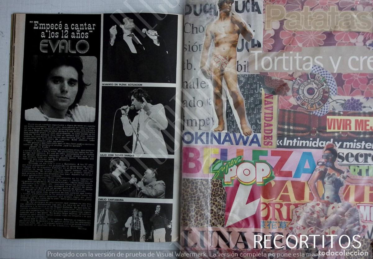 Coleccionismo de revistas y peri&oacute;dicos: JULIO IGLESIAS ROBERTO CARLOS EMILIO SANTAMARIA PEDRO VARGAS