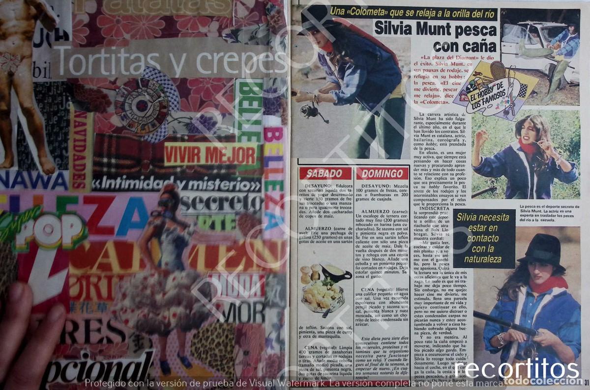 Coleccionismo de Revistas y Peri&oacute;dicos: DSILVIA MUNT