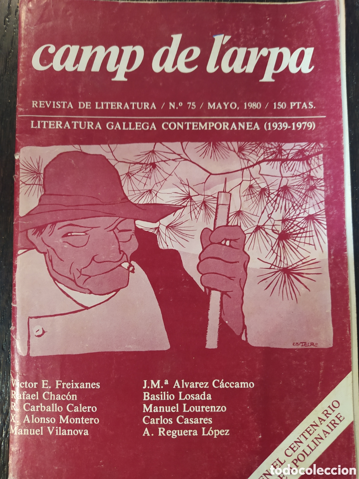Collection Magazines and Newspapers: Camp de l'arpa. Revista galega de literatura. N&uacute;mero 75.
