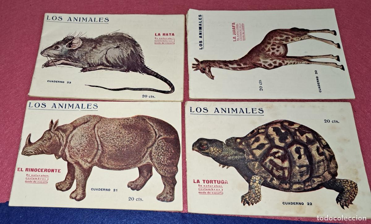 Coleccionismo de Revistas y Peri&oacute;dicos: LOS ANIMALES - PRENSA POPULAR - LOTE 4 EJEMPLARES - A&Ntilde;O 20