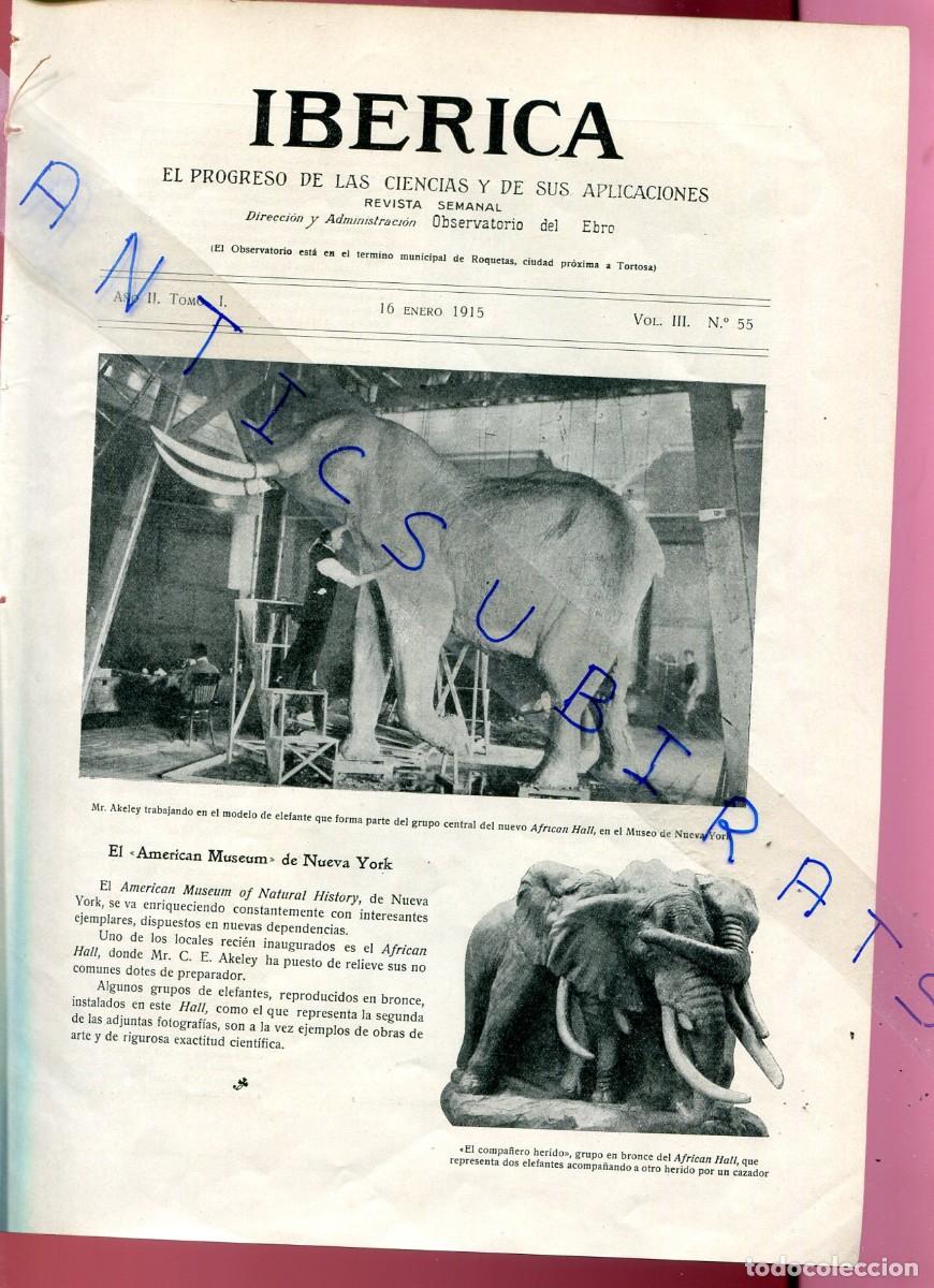 Coleccionismo de Revistas y Peri&oacute;dicos: REVISTA A&Ntilde;O 1915 MUSEO DE HISTORIA NATURAL DE NUEVA YORK AMERICAN MUSEUM OF NATURAL HISTORY NEW