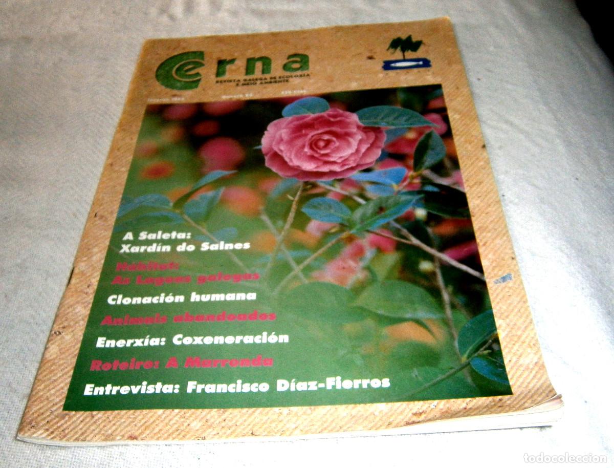 Coleccionismo de revistas y peri&oacute;dicos: revista Cerna galega de ecoloxia e medio ambiente n&ordm; 93 invierno 1998 gallego