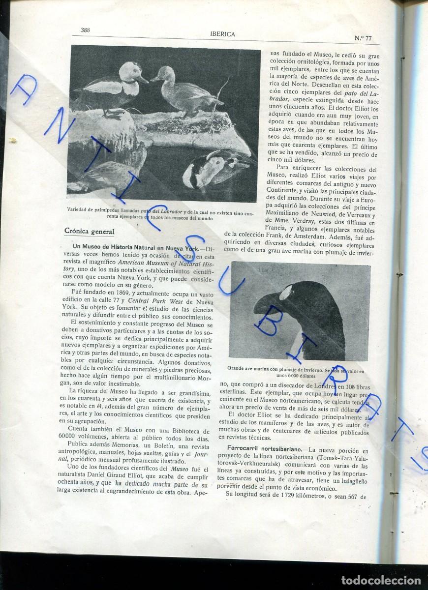 Coleccionismo de Revistas y Peri&oacute;dicos: REVISTA IBERICA A&Ntilde;O 1915 MUSEO DE HISTORIA NATURAL DE NUEVA NEW YORK SPEZIA LA TEMPERATURA DEL SOL