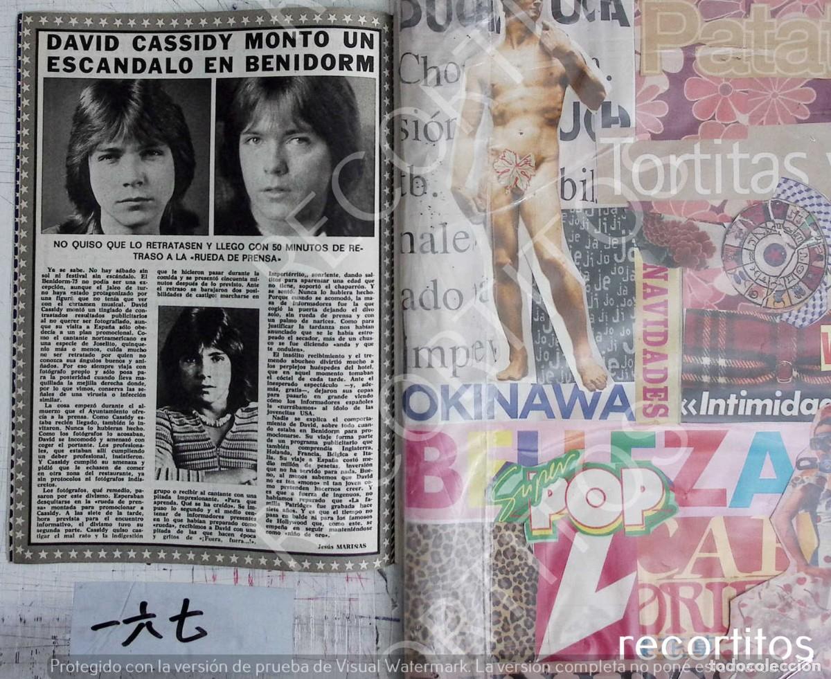Coleccionismo de revistas y peri&oacute;dicos: shaun cassidy