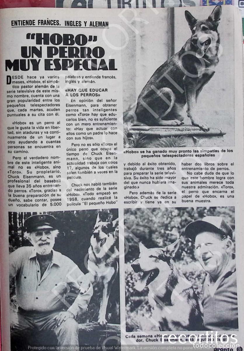 Coleccionismo de revistas y peri&oacute;dicos: hobo el perro vintage clippings