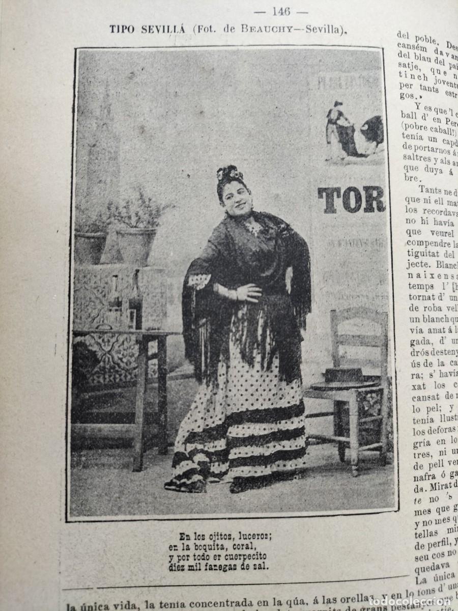 Colecionismo de Revistas e Jornais: TIPO SEVILLANO HOJA A&Ntilde;O 1895