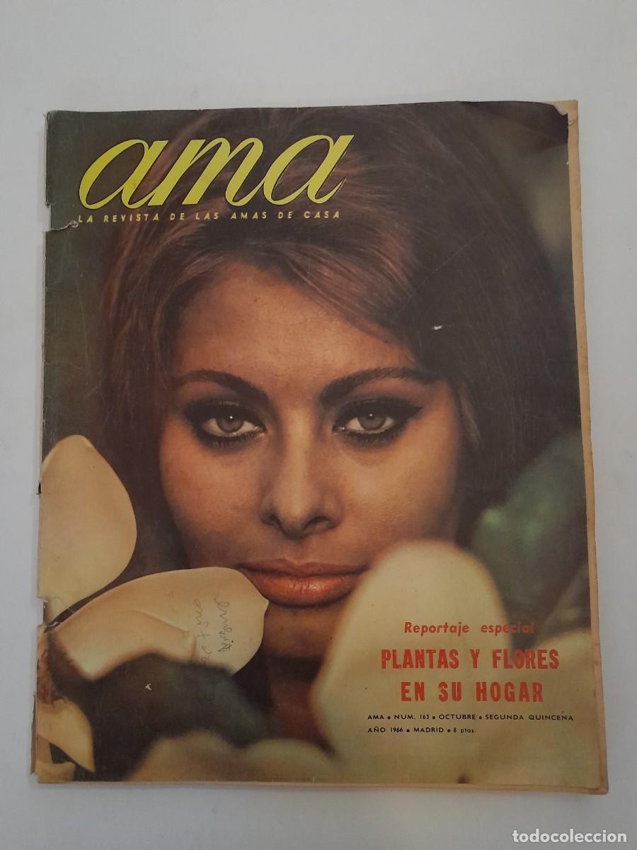 Coleccionismo de Revistas y Peri&oacute;dicos: revista ama, n&ordm; 163 1966, reportaje especial plantas y flores en su hogar