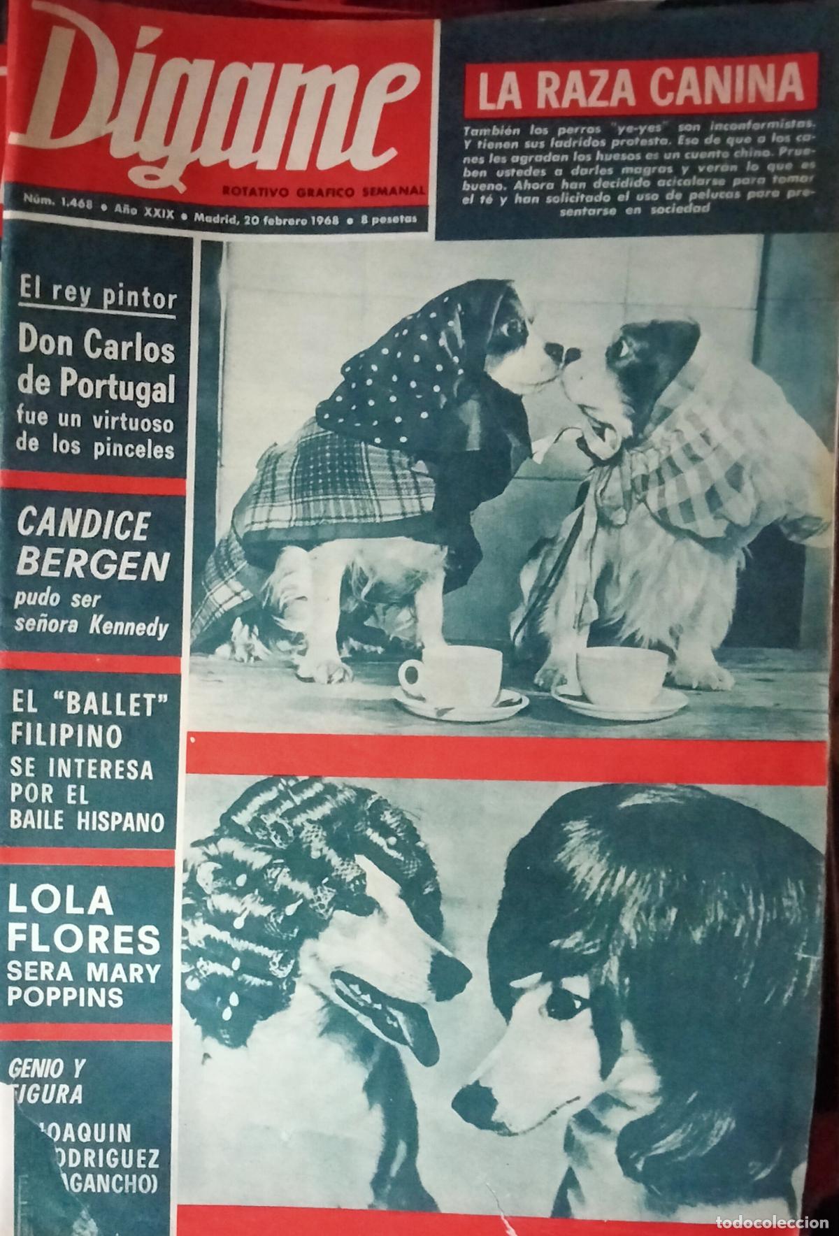 Coleccionismo de revistas y peri&oacute;dicos: D&iacute;game, 20 de febrero de 1968. La raza canina. Lola Flores