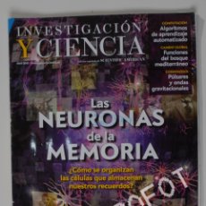 Coleccionismo de Revistas y Periódicos: REVISTA INVESTIGACIÓN Y CIENCIA Nº 439 - ABRIL 2013