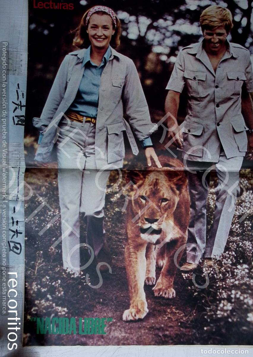 Coleccionismo de revistas y peri&oacute;dicos: GARY COLLINS DIANA MULDAUR NACIDA LIBRE POSTER