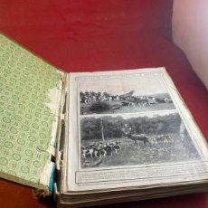 Coleccionismo de Revistas y Periódicos: NUEVO MUNDO 1913
