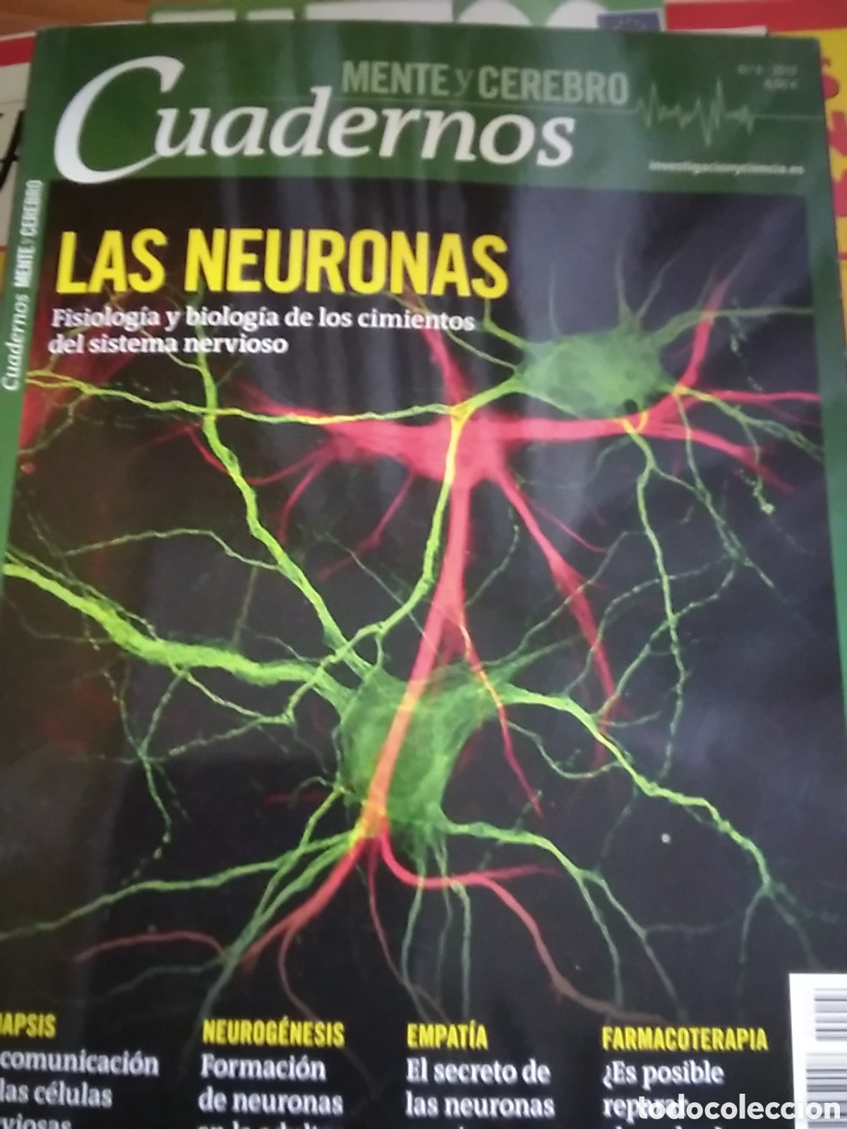 Coleccionismo de Revistas y Peri&oacute;dicos: Cuadernos investigaci&oacute;n/ciencia mente/cerebro 2013 numero 4 las neuronas