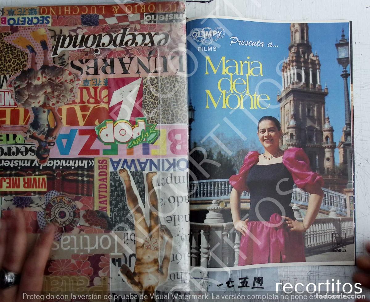 Coleccionismo de revistas y peri&oacute;dicos: MARIA DEL MONTE