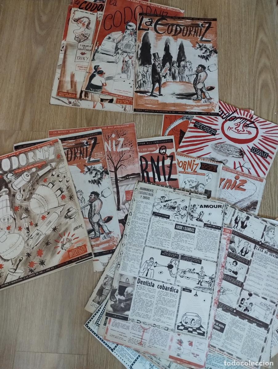Coleccionismo de Revistas y Peri&oacute;dicos: LOTE DE REVISTAS LA CODORNIZ A&Ntilde;OS 50 VER FOTOS