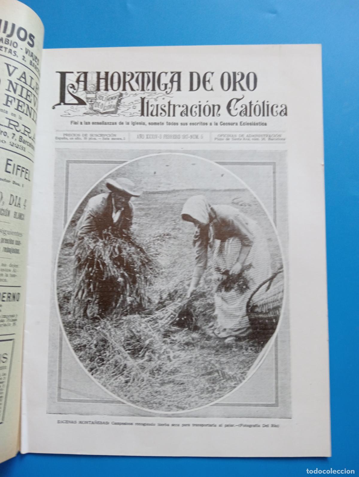 Coleccionismo de revistas y peri&oacute;dicos: LA HORMIGA DE ORO. ILUSTRACION CATOLICA. A&Ntilde;O XXXIV. 3 FEBRERO 1917. N&ordm; 5.