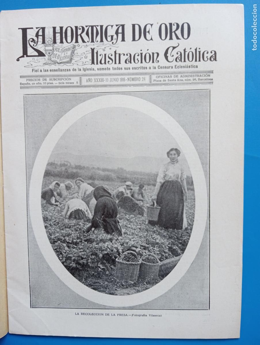 Coleccionismo de revistas y peri&oacute;dicos: LA HORMIGA DE ORO. ILUSTRACION CATOLICA. A&Ntilde;O XXXIII. 10 JUNIO 1916. N&ordm; 24.